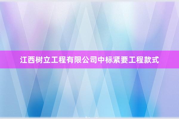 江西树立工程有限公司中标紧要工程款式